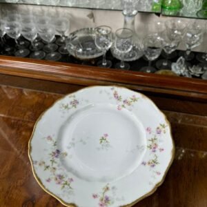 Plato de porcelana francesa Limoges