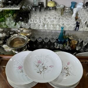 Juego de 12 platos playos de porcelana