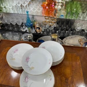 Juego de 6 platos de postre porcelana verbano