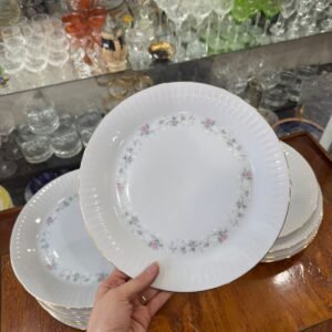 Juego de 12 platos playos porcelana tsuji