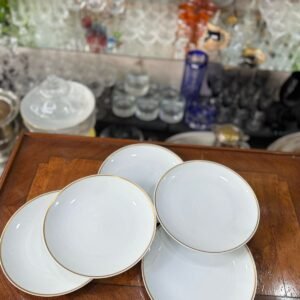 Set de 5 platos playos porcelana japonesa