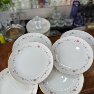 Juego de 12 platos playos porcelana tsuji