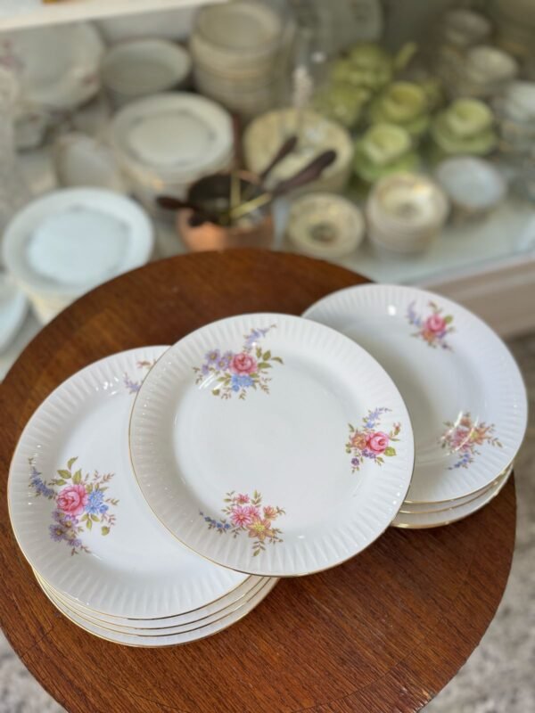 Juego de 11 platos playos de porcelana - Image 4