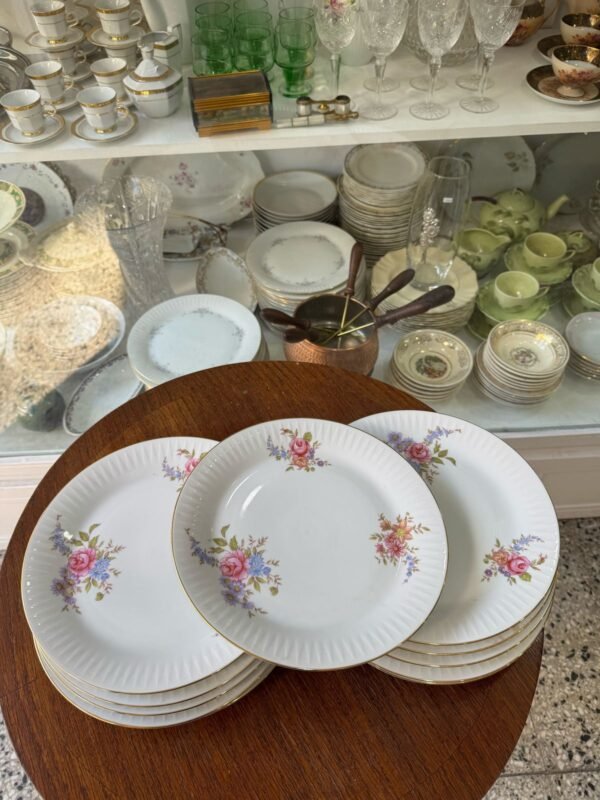 Juego de 11 platos playos de porcelana - Image 2
