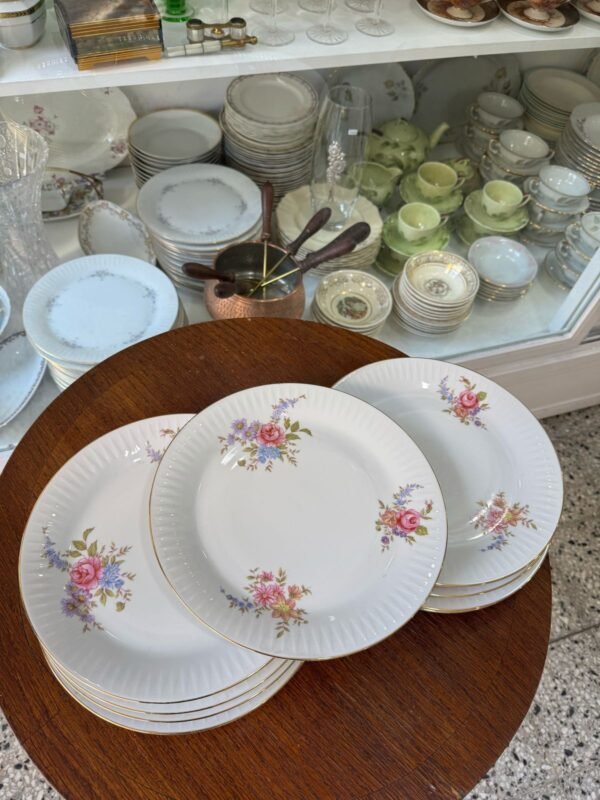 Juego de 11 platos playos de porcelana
