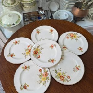 Juego de 6 platos de postre ingleses