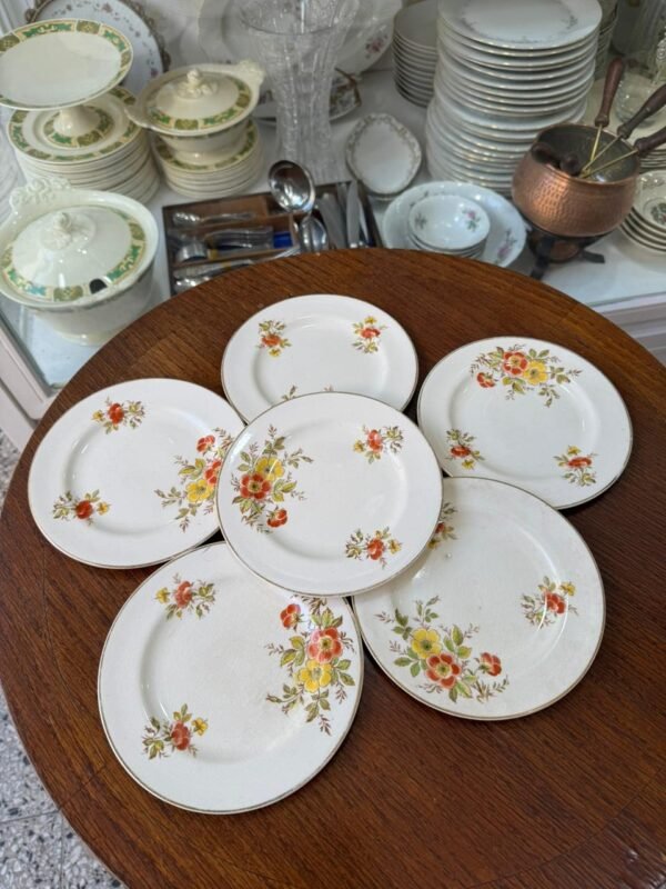 Juego de 6 platos de postre ingleses