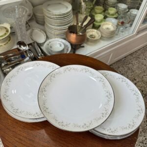 Juego de 8 platos playos grandes porcelana Noritake