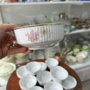 Juego de 12 compoteras porcelana verbano
