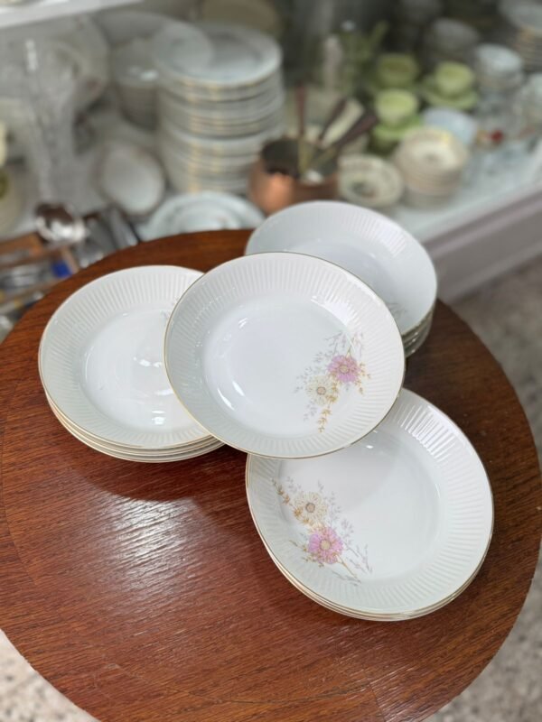 Juego de 11 platos hondos porcelana verbano