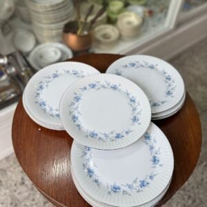 Juego de 12 platos playos porcelana tsuji