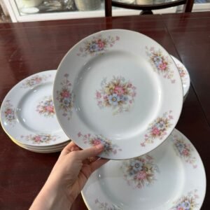 Juego de 12 platos playos porcelana tsuji