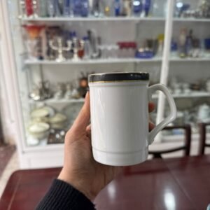 Juego de 6 tazas jarritos porcelana tsuji