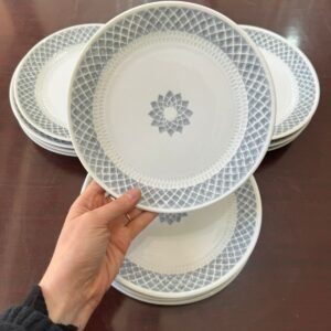 Juego de 13 platos de postre porcelana CASTRO GALICIA ESPAÑA