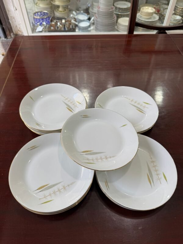 Juego de 12 platos de postre porcelana verbano