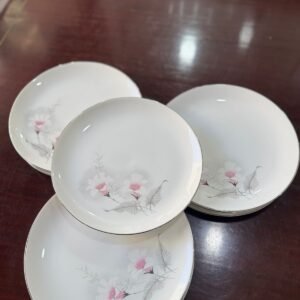 Juego de 12 platos playos hartford