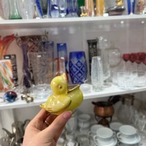 Carocero pajaro