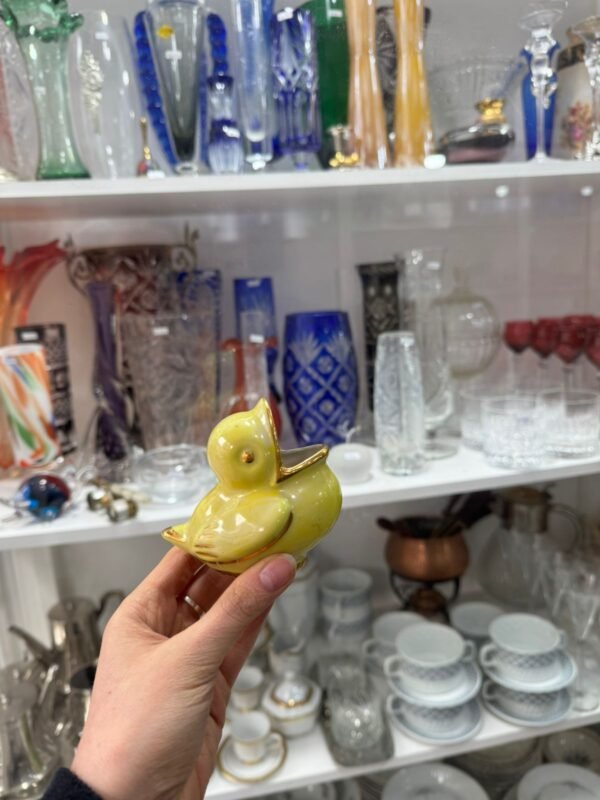 Carocero pajaro