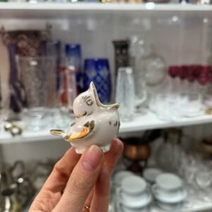 Carocero pajaro
