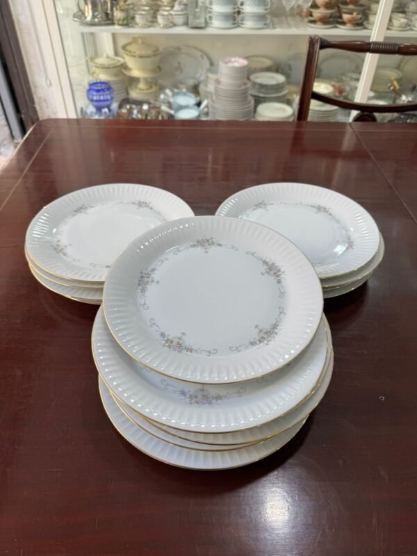 Juego de 15 platos playos porcelana tsuji