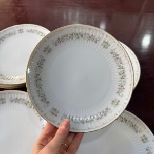Juego de 10 platos de postre porcelana tsuji