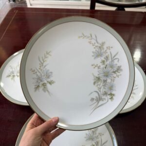 Juego de 6 platos playos porcelana NORITAKE