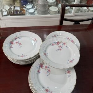 Juego de 12 platos playos porcelana verbano