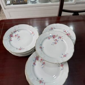 Juego de 12 platos playos porcelana verbano
