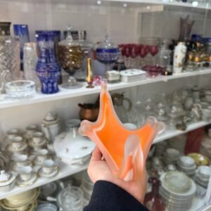 Despojador naranja de opalina