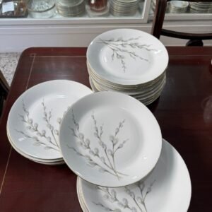 Juego de 10 platos playos porcelana verbano