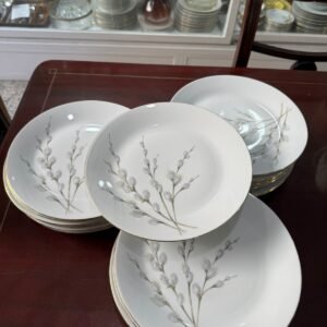 Juego de 10 platos playos porcelana verbano