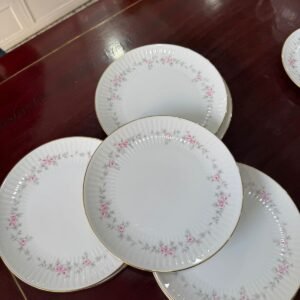 Juego de 12 platos playos porcelana tsuji