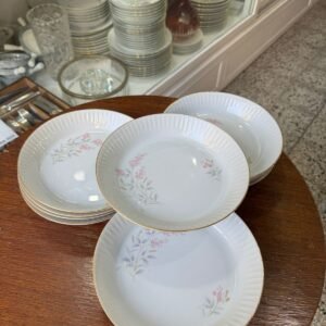 Juego de 12 platos hondos porcelana tsuji