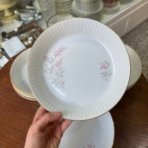 Juego de 12 platos hondos porcelana tsuji