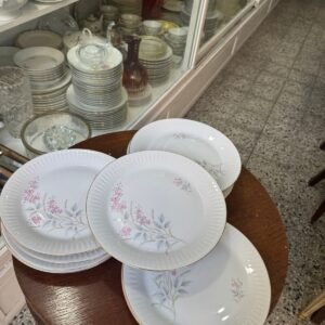 Juego de 12 platos playos porcelana tsuji