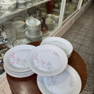 Juego de 12 platos playos porcelana tsuji