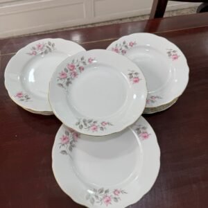 Juego de 6 platos de postre porcelana verbano