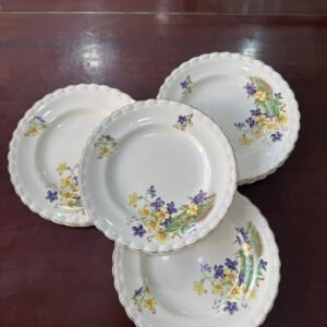 Juego de 12 platos playos ingleses