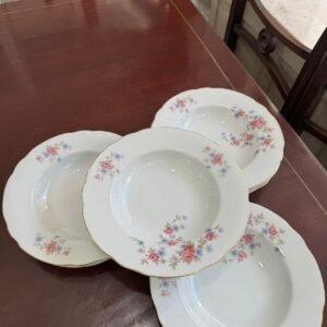 Juego de 6 platos hondos porcelana verbano