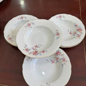 Juego de 6 platos hondos porcelana verbano