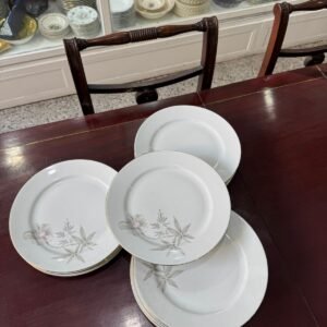 Juego de 12 platos playos porcelana