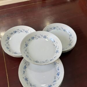 Juego de 11 platos hondos porcelana tsuji