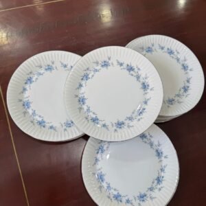 Juego de 11 platos de postre porcelana tsuji