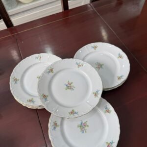Juego de 10 platos de postre porcelana checoslovaca
