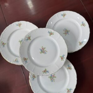 Juego de 10 platos de postre porcelana checoslovaca
