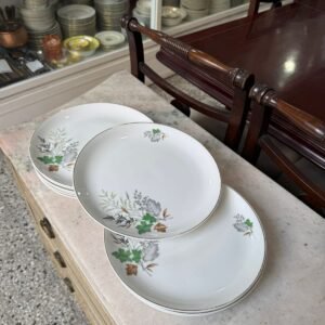 Juego de 12 platos playos porcelana hartford