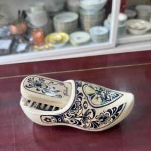 Zapato con cepillo holland