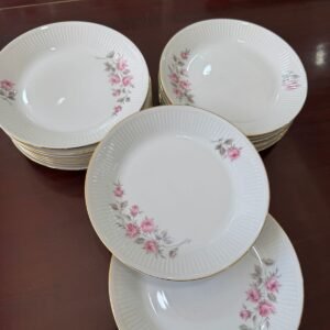 Juego de 12 platos playos porcelana verbano