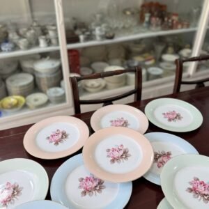 Juego de 12 platos playos porcelana de distintos colores