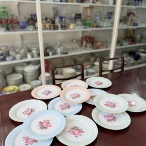 Juego de 12 platos playos porcelana de distintos colores